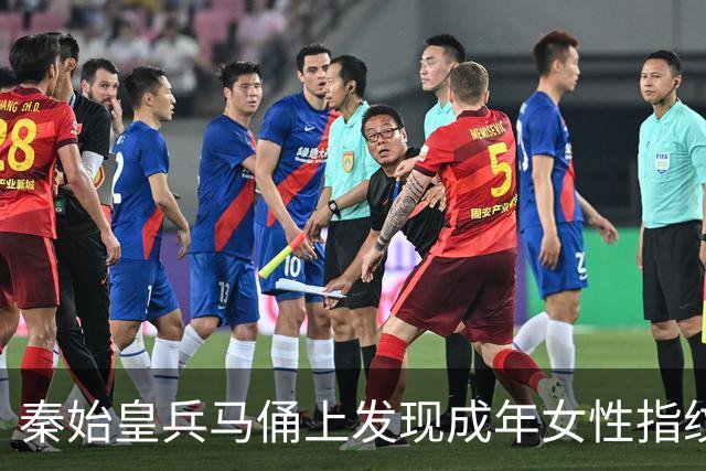 秦始皇兵马俑上发现成年女性指纹和15岁以下少年指纹，学界首次以量化的生物学证据表明，除成年男性外，女性和少年可能也参与了秦俑制作
