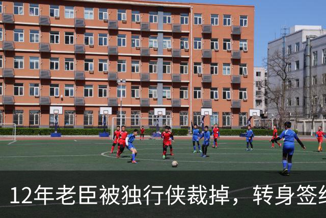 12年老臣被独行侠裁掉，转身签约土耳其费内巴切